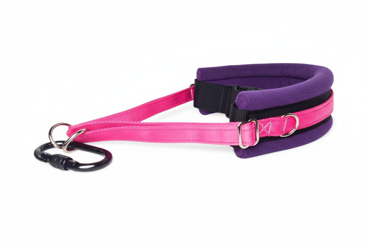 Hot pink and purple collar