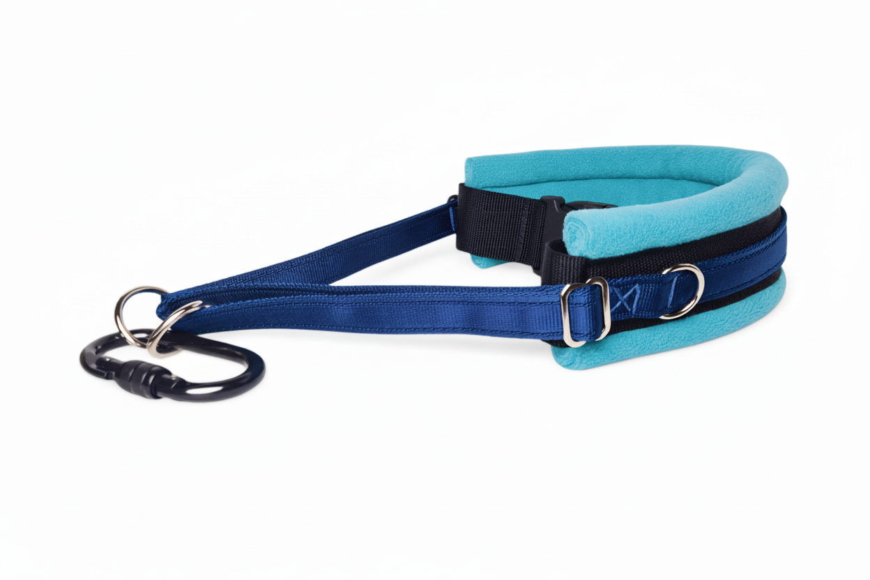 Navy and turquoise collar