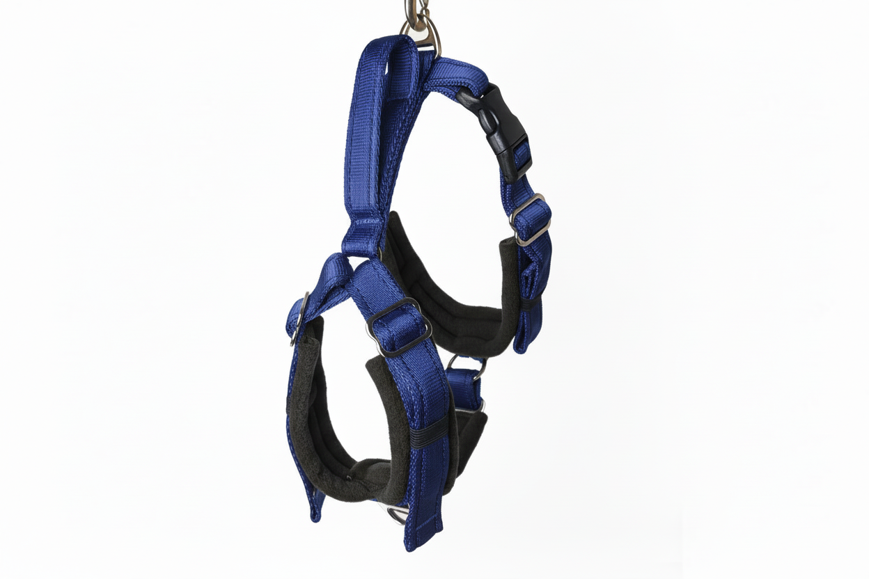 Navy blue and black harness