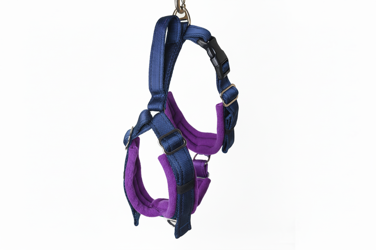 Navy blue and purple harness