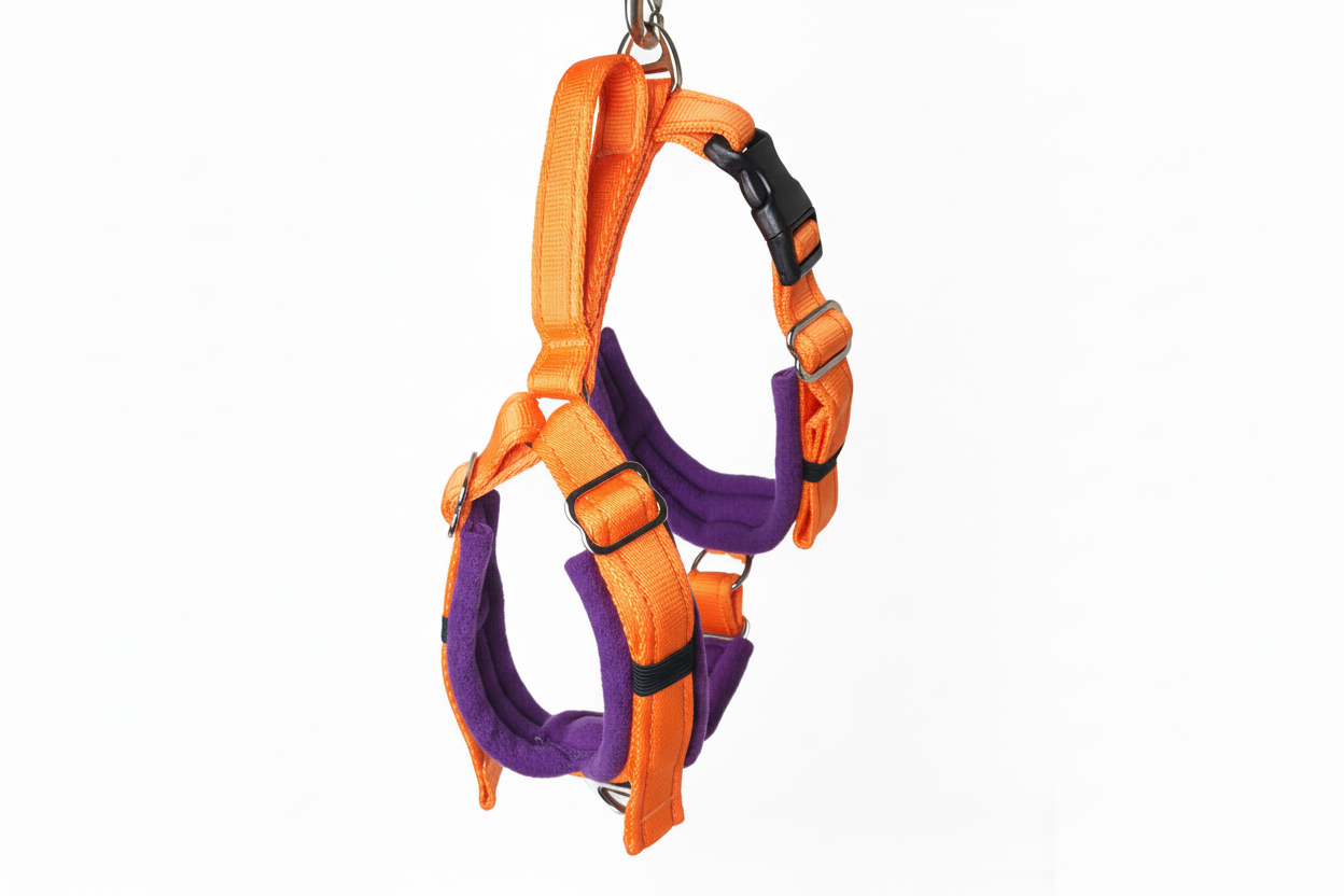 Orange and purple harness