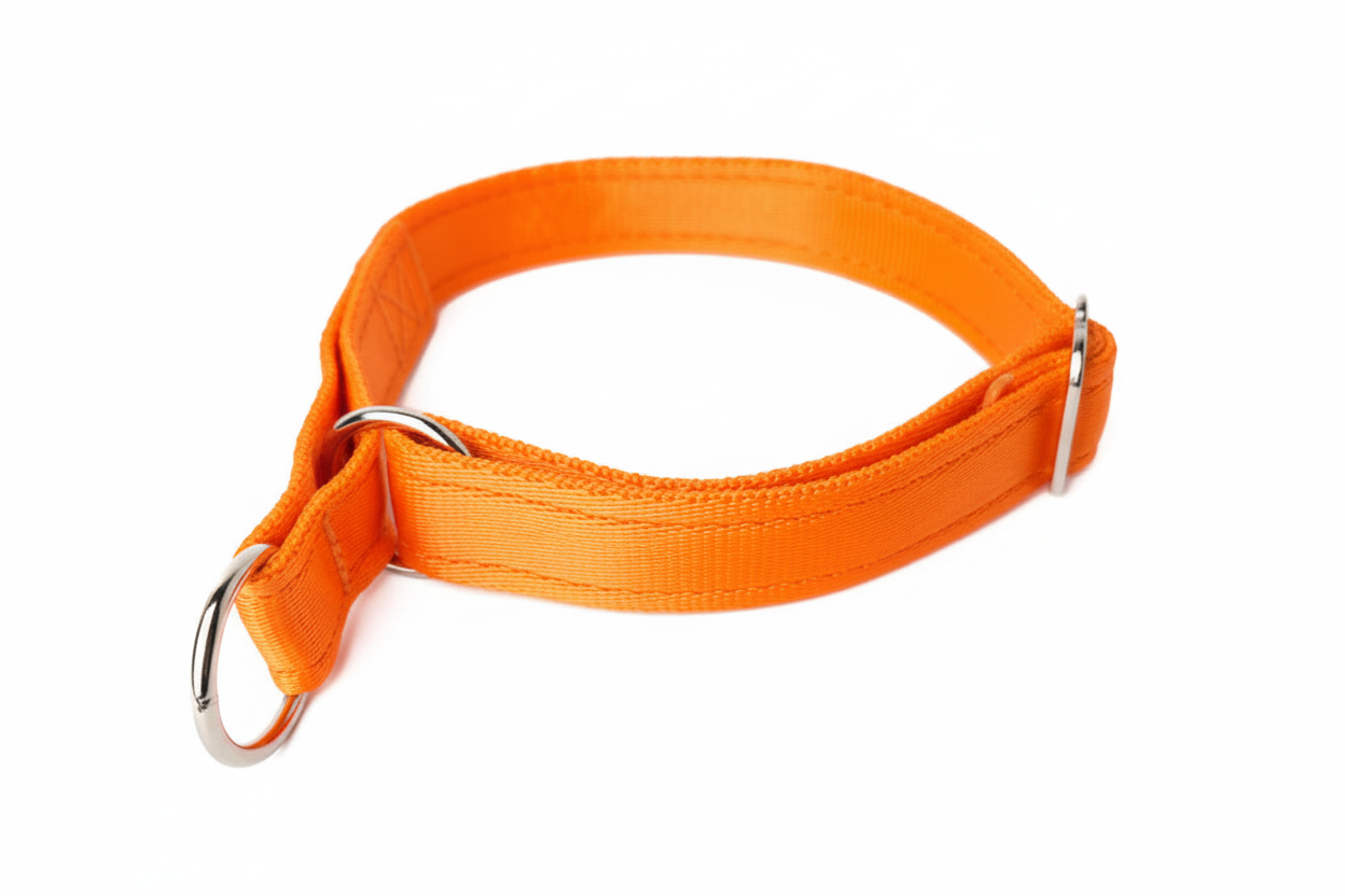 Orange collar