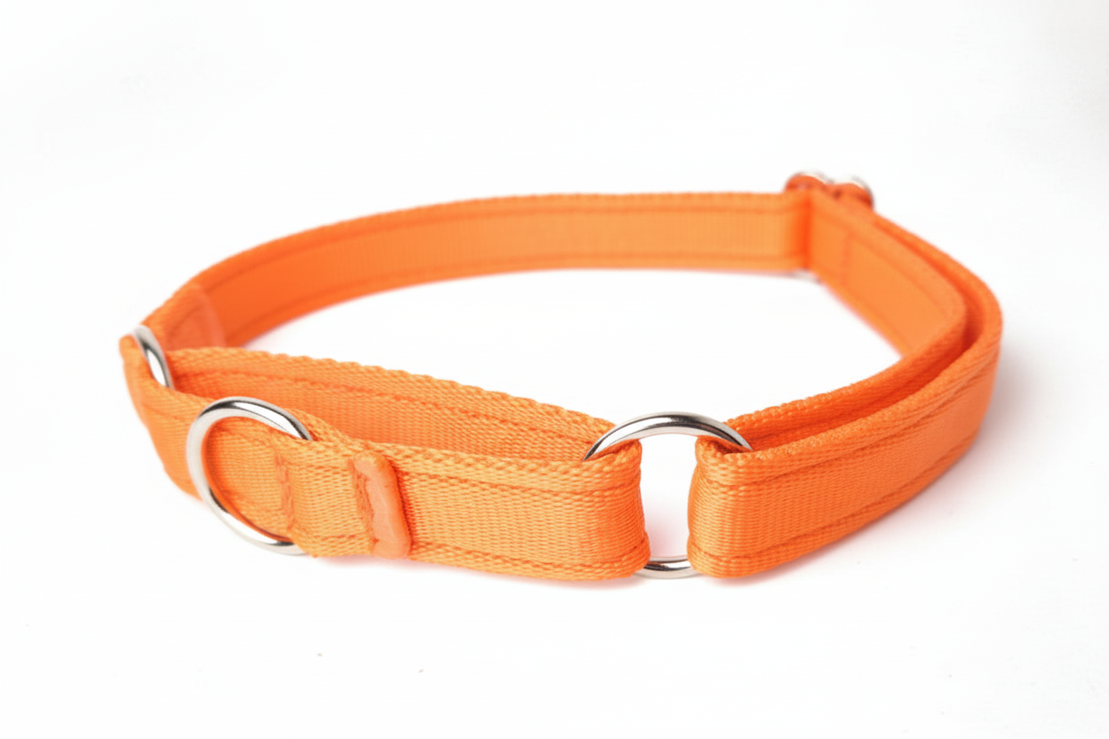 Orange martingale