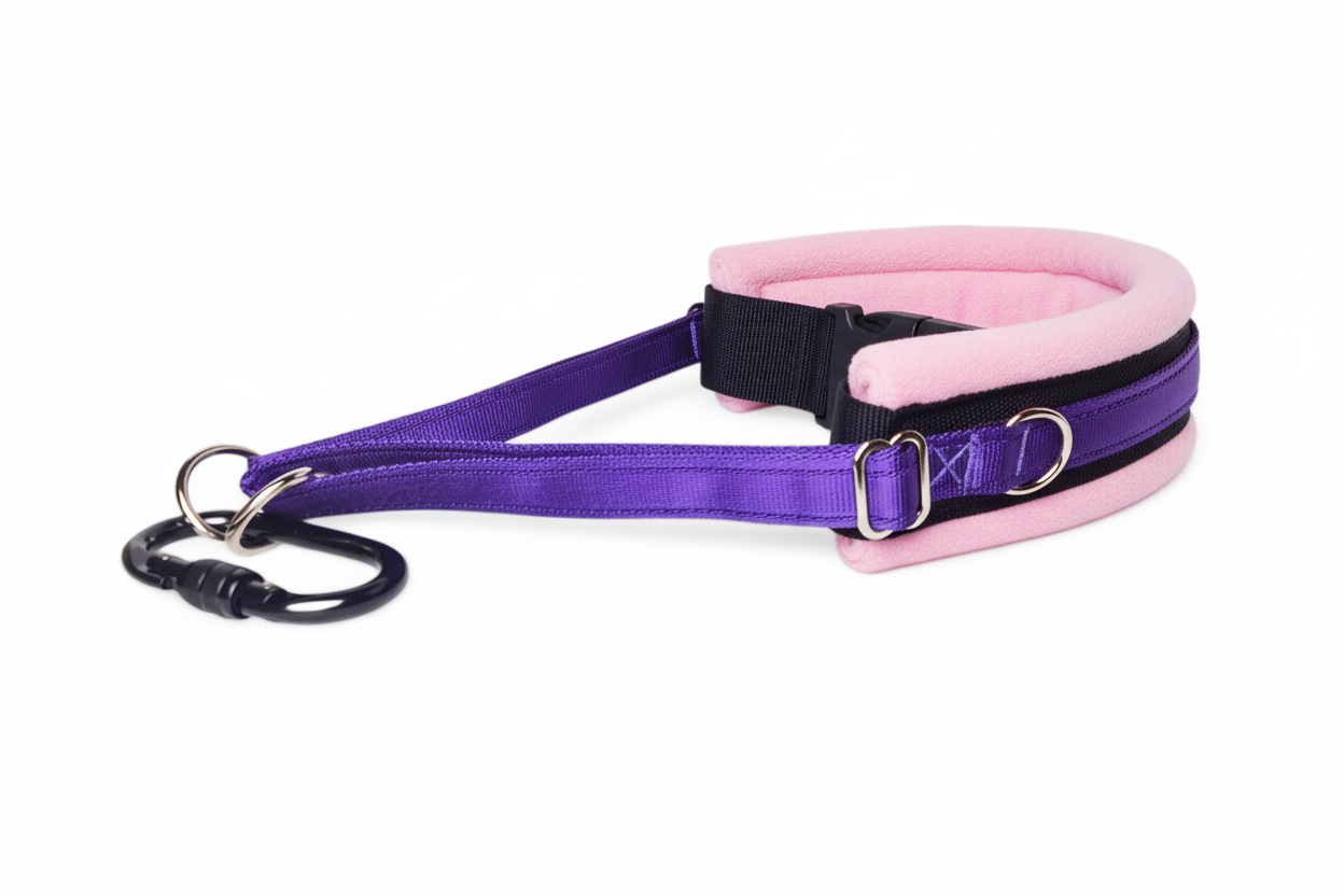 Purple and baby pink collar