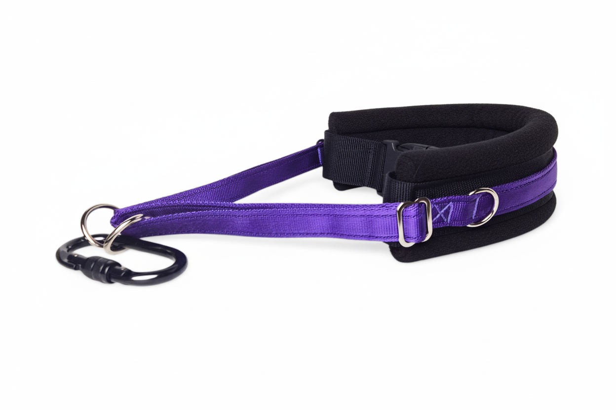 Purple and black collar