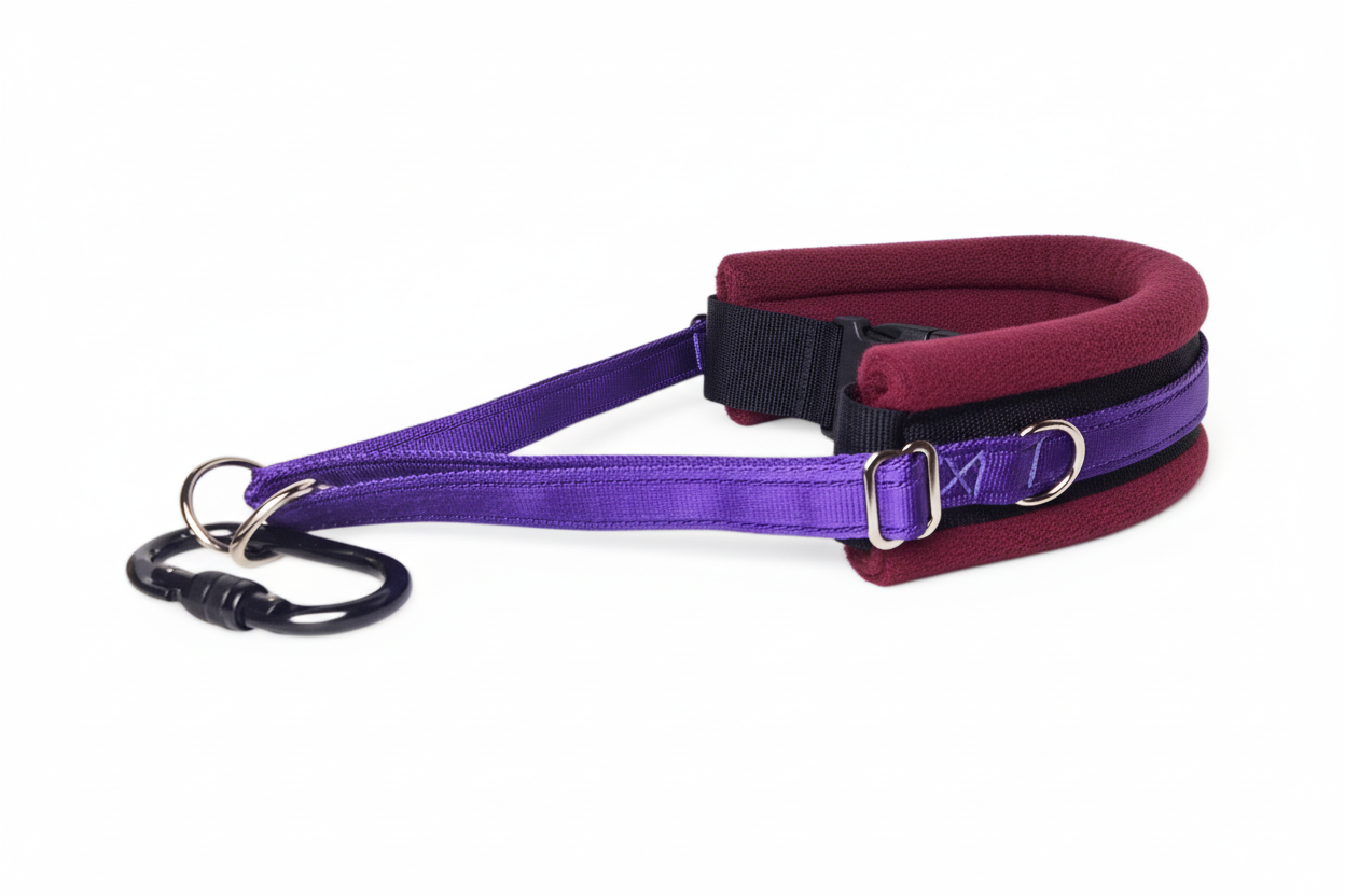 Purple and burgundy collar