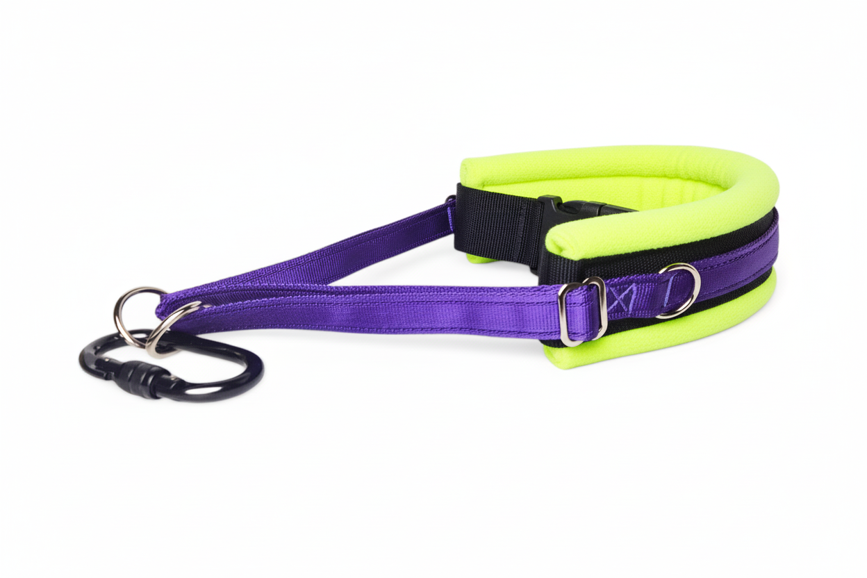 Purple and high-vis yellow collar