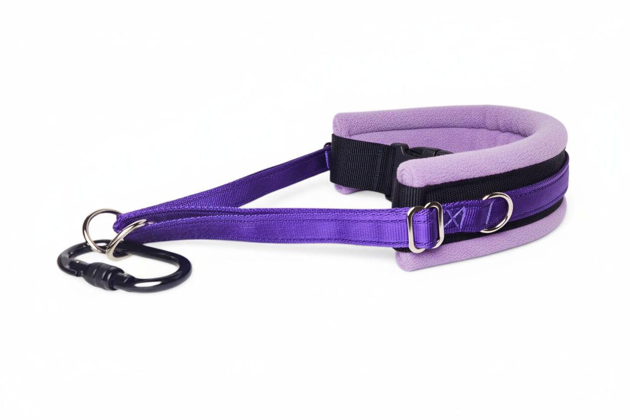 Purple and lilac collar