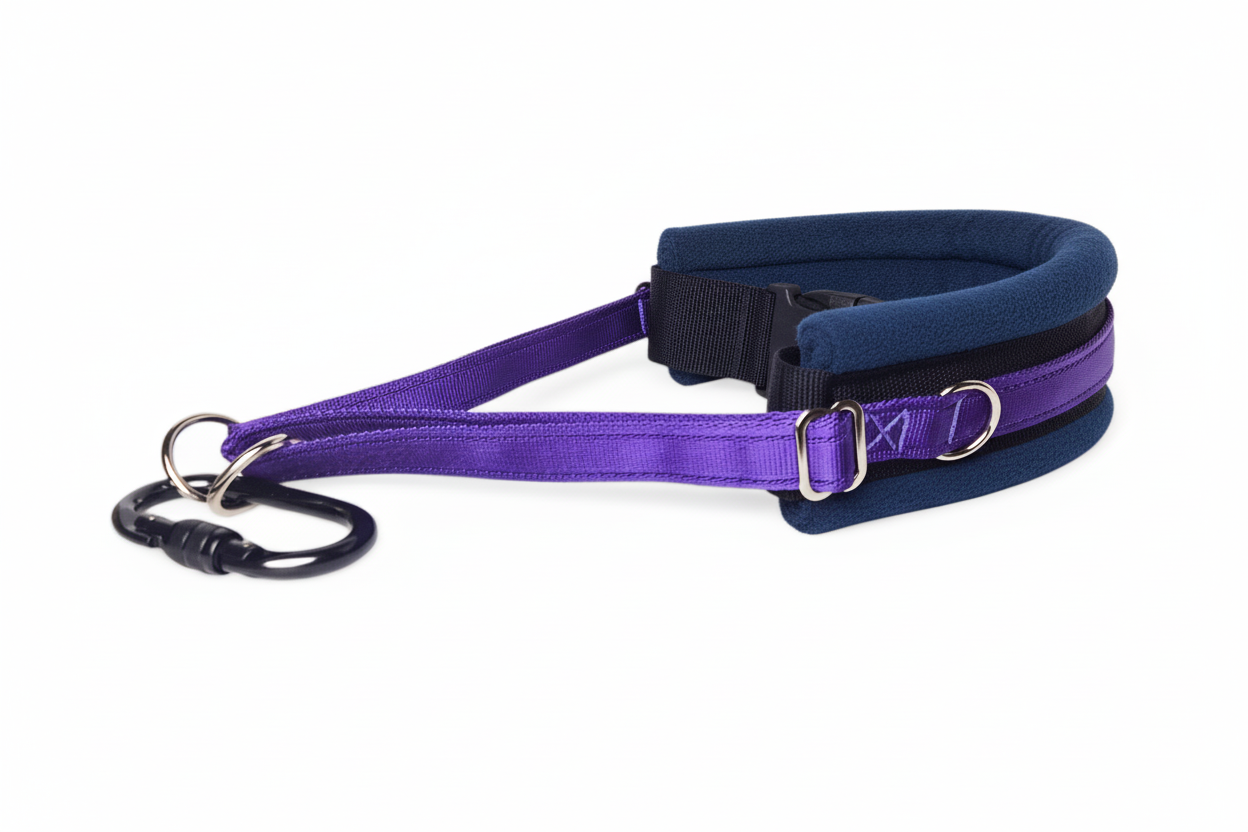 Purple and navy collar