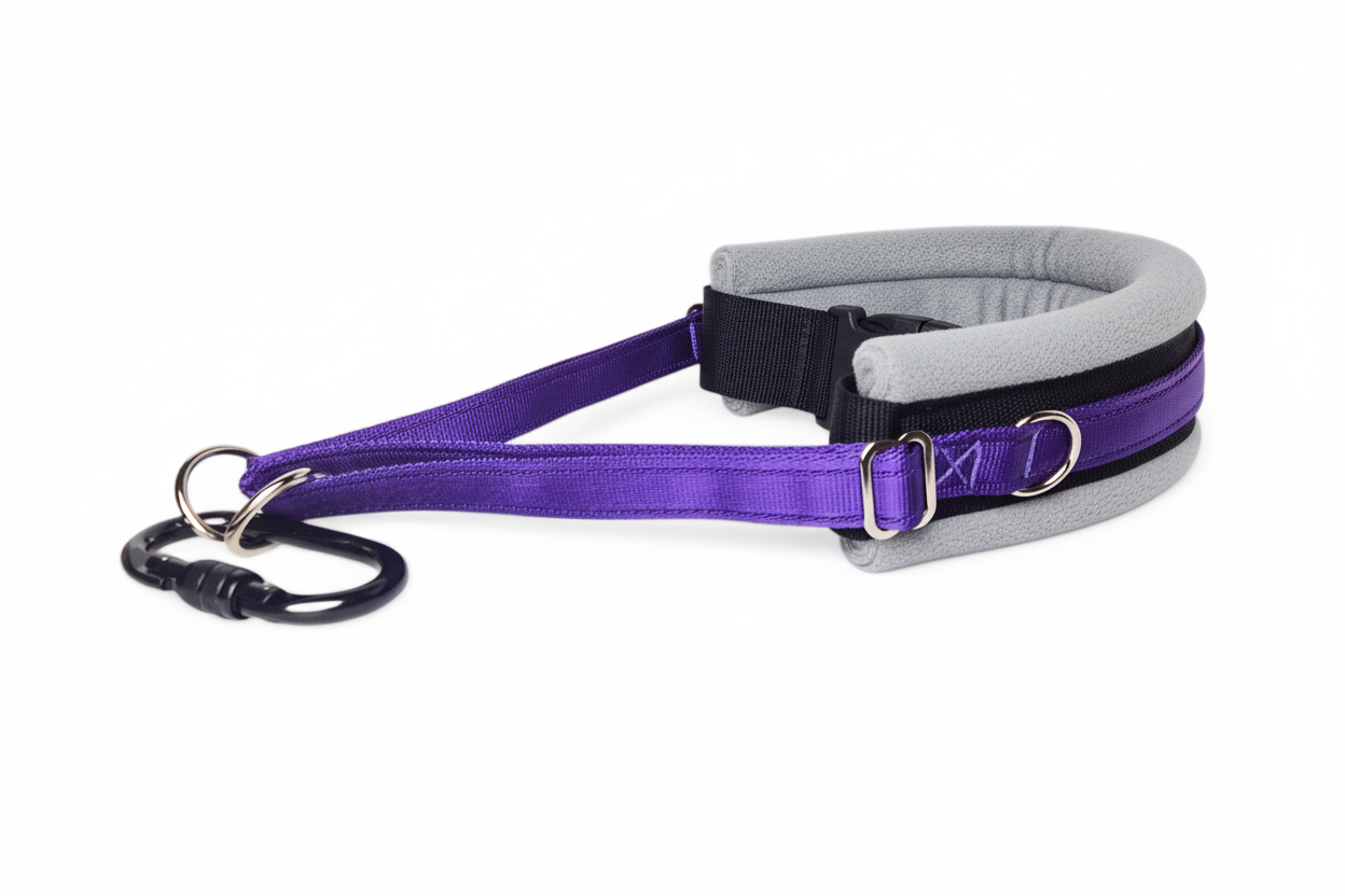 Purple and silver grey collar