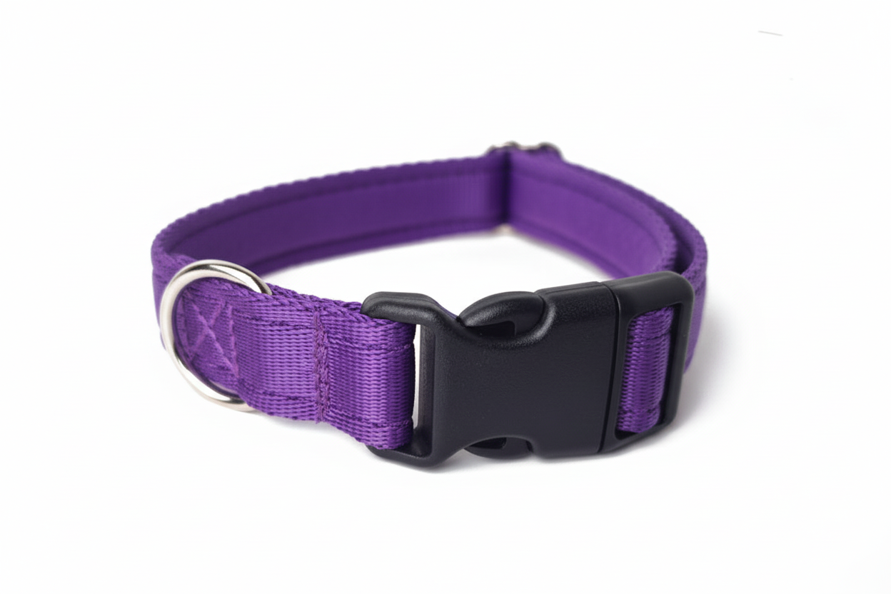 Purple clip collar