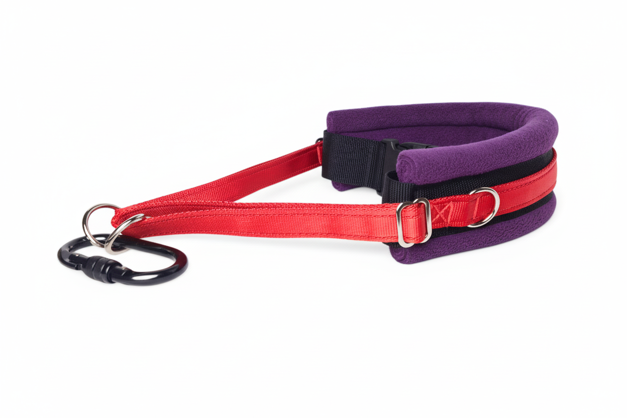 Red and purple collar