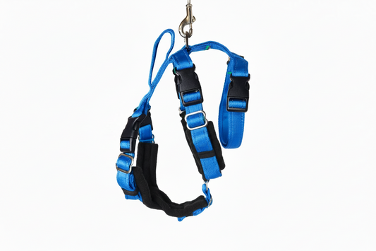 Electric Blue Escape Proof Adjustable Houdini Harness - Fleece Lined