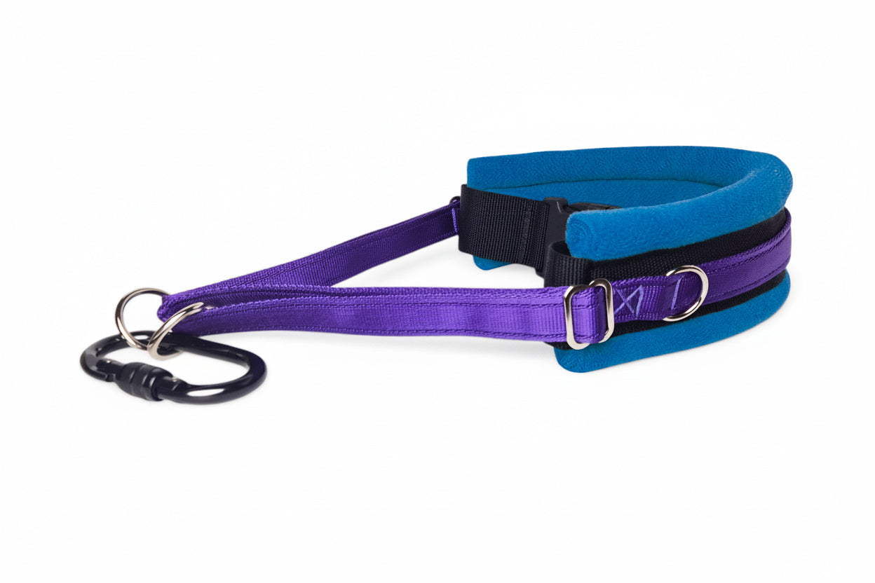 Hands Free Dog Walking Belt - Purple Webbing