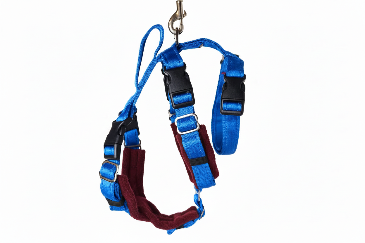 Electric Blue Escape Proof Adjustable Houdini Harness - Fleece Lined