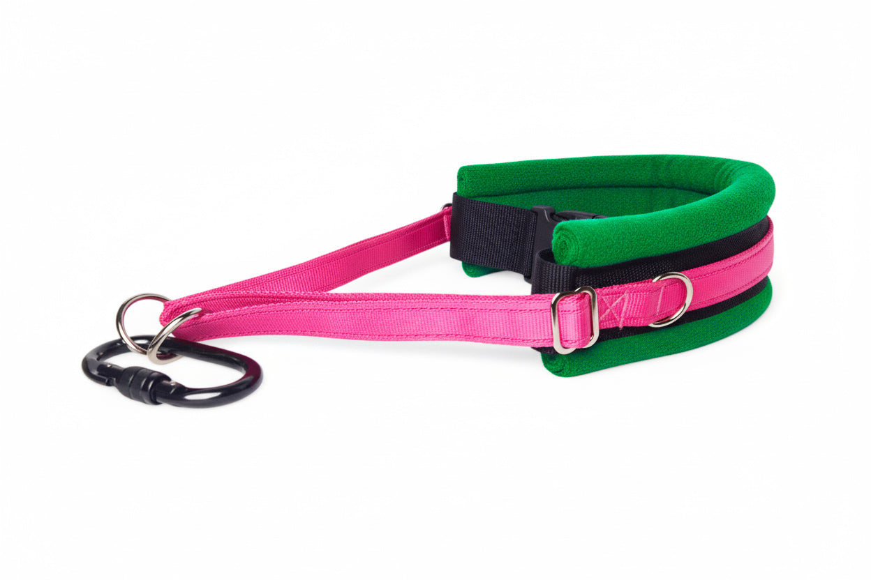 Hands Free Dog Walking Belt - Hot Pink Webbing