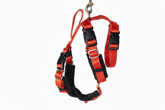 Red Escape Proof Adjustable Houdini Harness - Fleece Lined