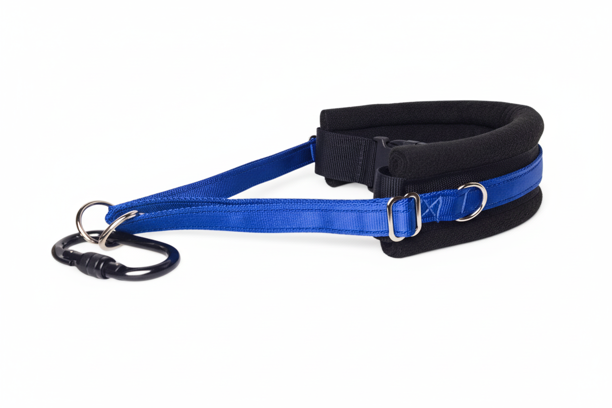 Royal blue and black collar