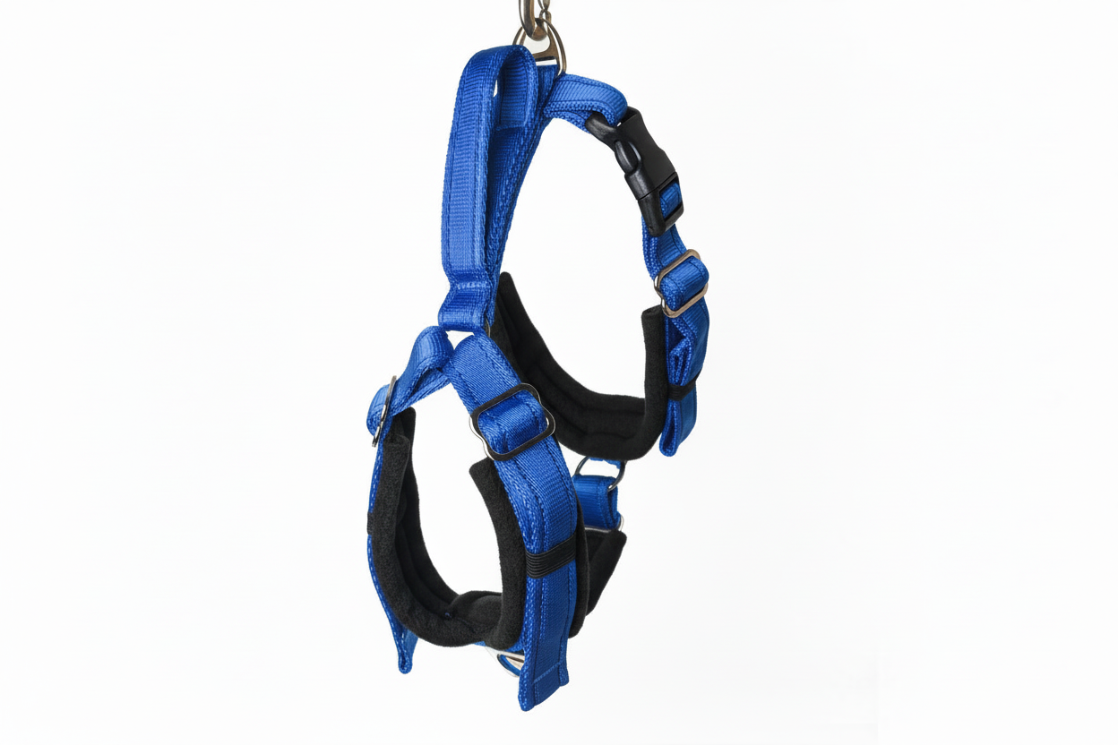 Royal blue and black harness