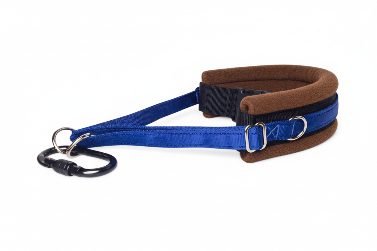 Royal blue and brown collar