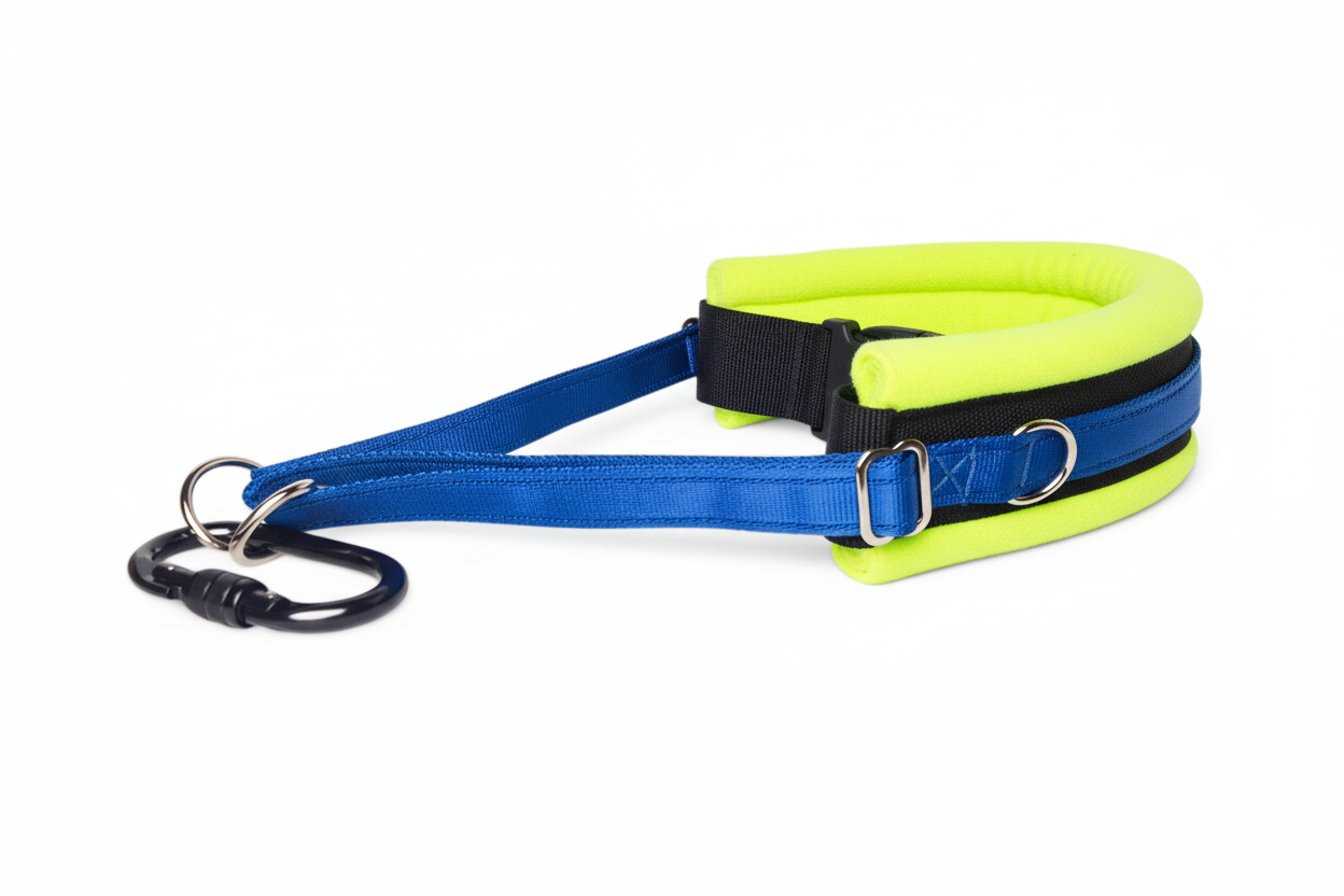Royal blue and high-vis yellow collar