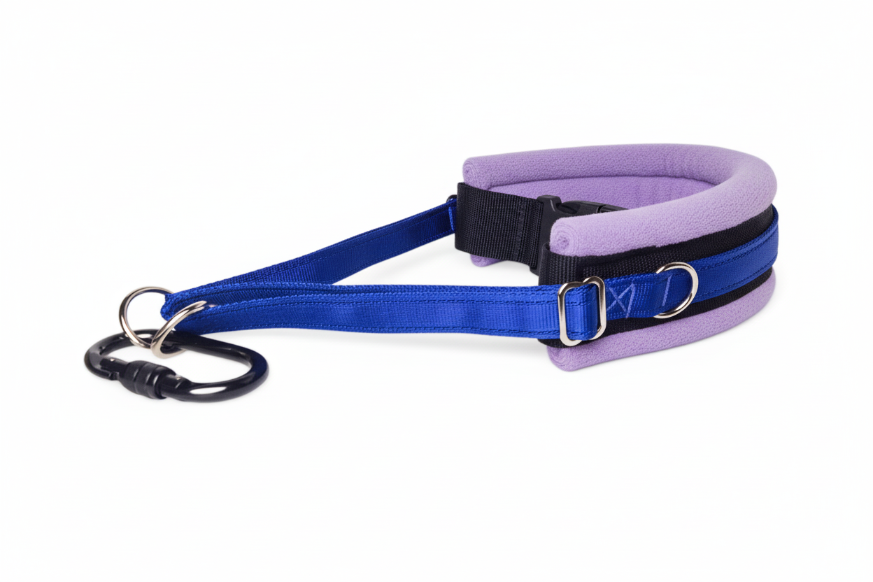 Royal blue and lilac collar