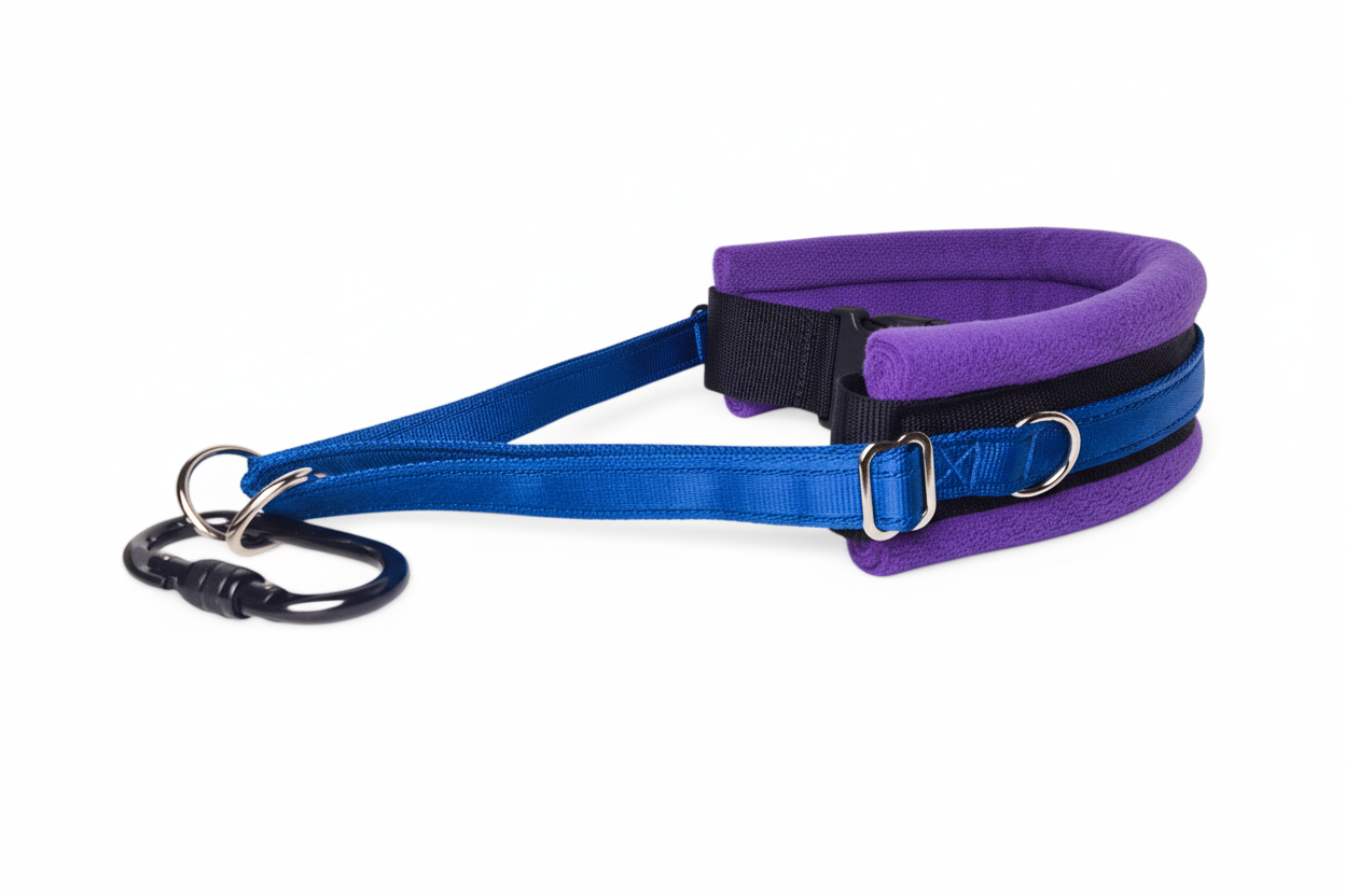 Royal blue and purple collar
