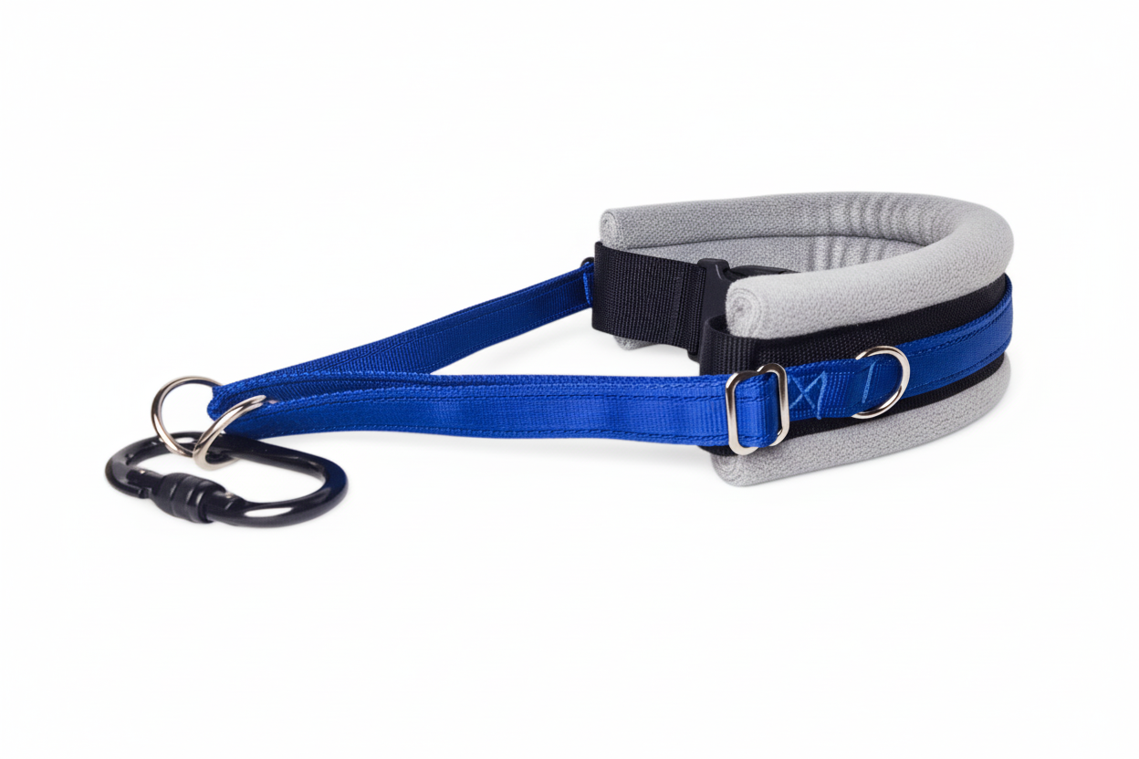Royal blue and silver grey collar