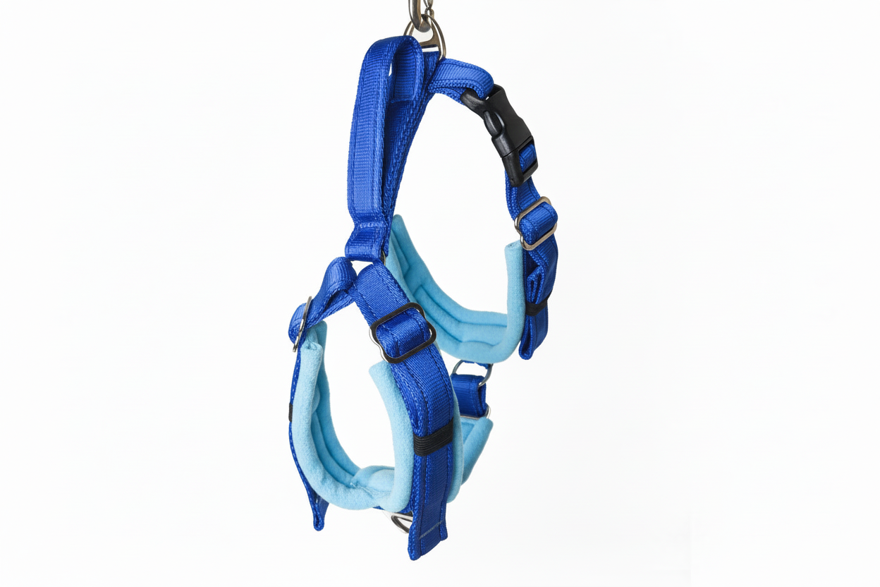 Royal blue and sky blue harness