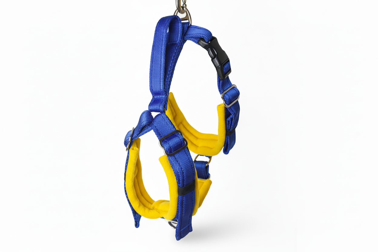 Royal blue and sunshine yellow harness