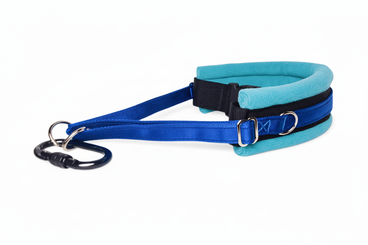 Royal blue and turquoise collar