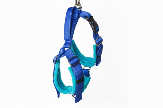 Royal blue and turquoise harness