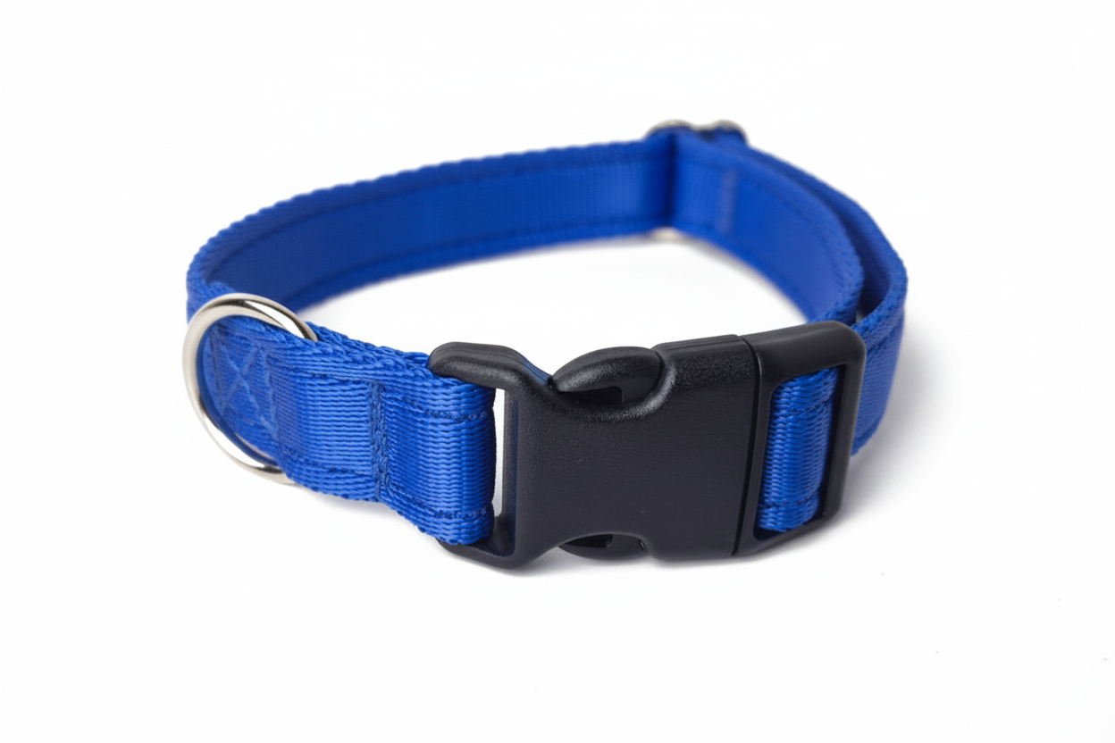 Royal blue clip collar