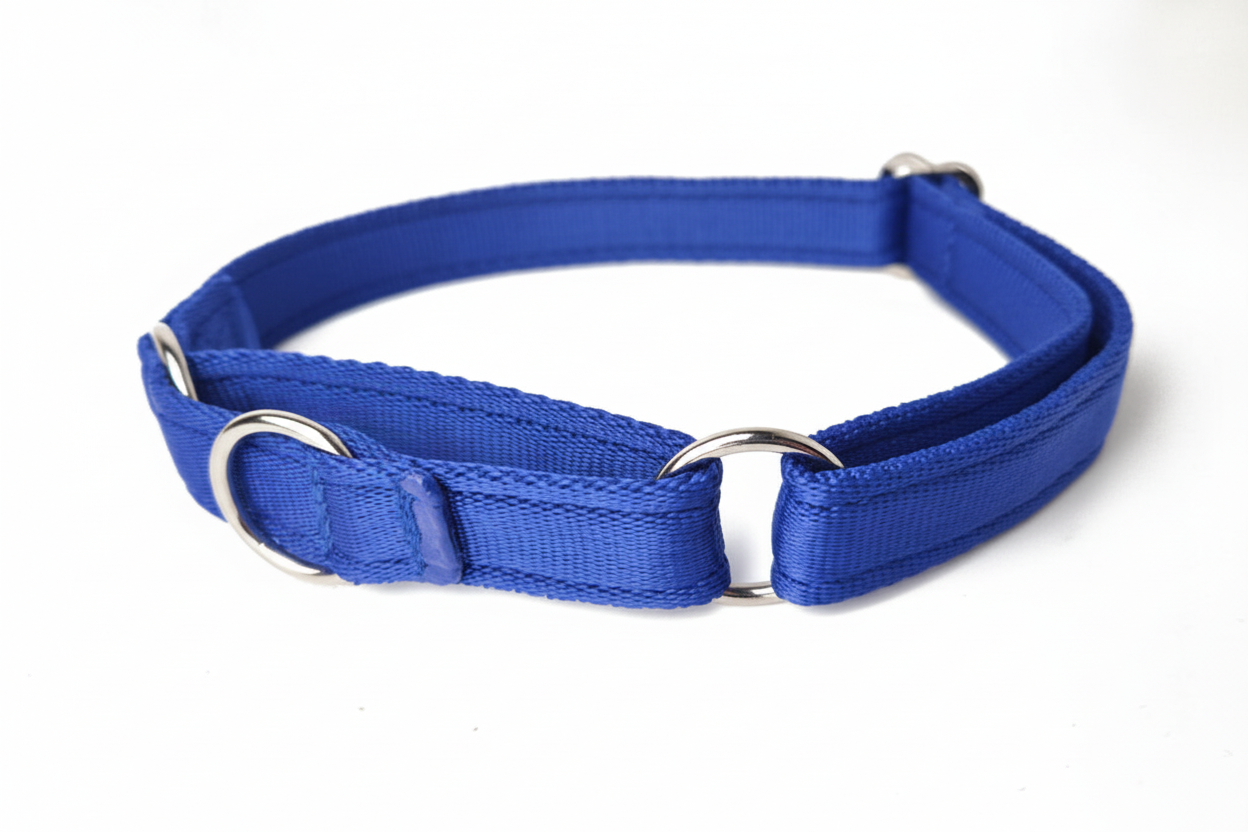Royal blue martingale