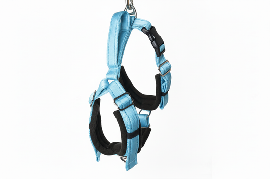 Sky blue and black harness