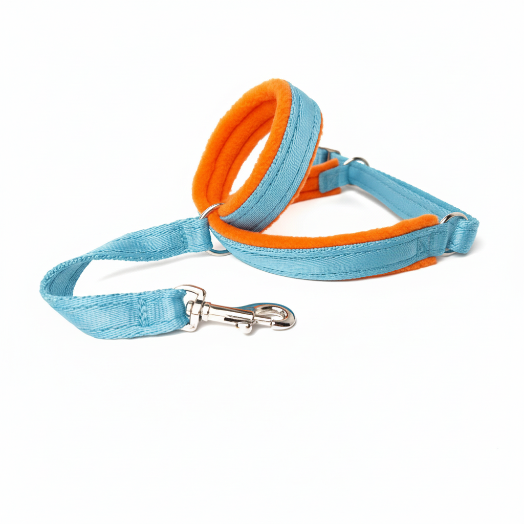 Sky blue webbing