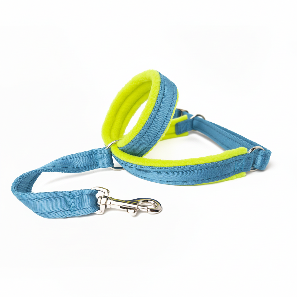 Sky blue webbing