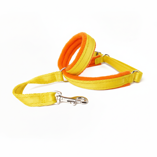 Sunshine yellow webbing