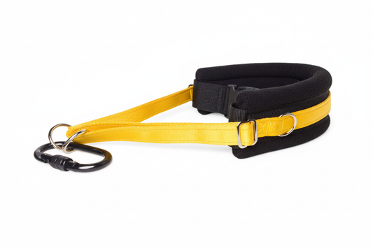 Yellow and black collar