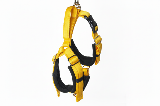 Yellow and black harness