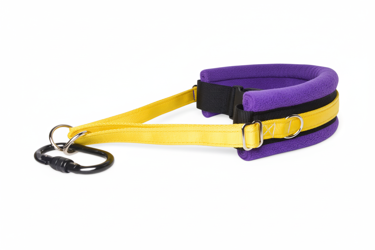 Yellow and purple collar