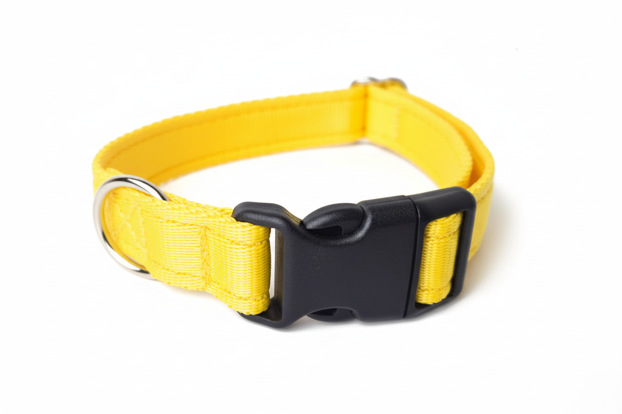 Yellow clip collar