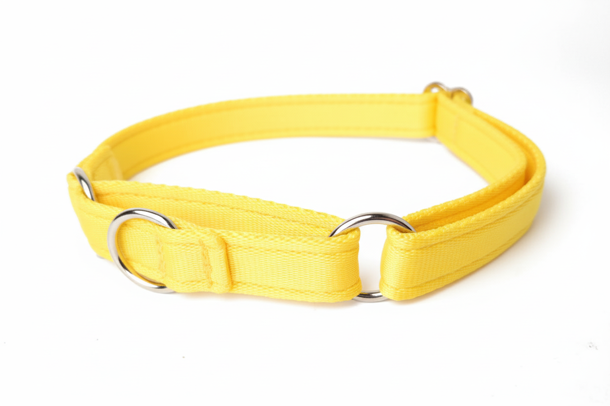 Yellow martingale