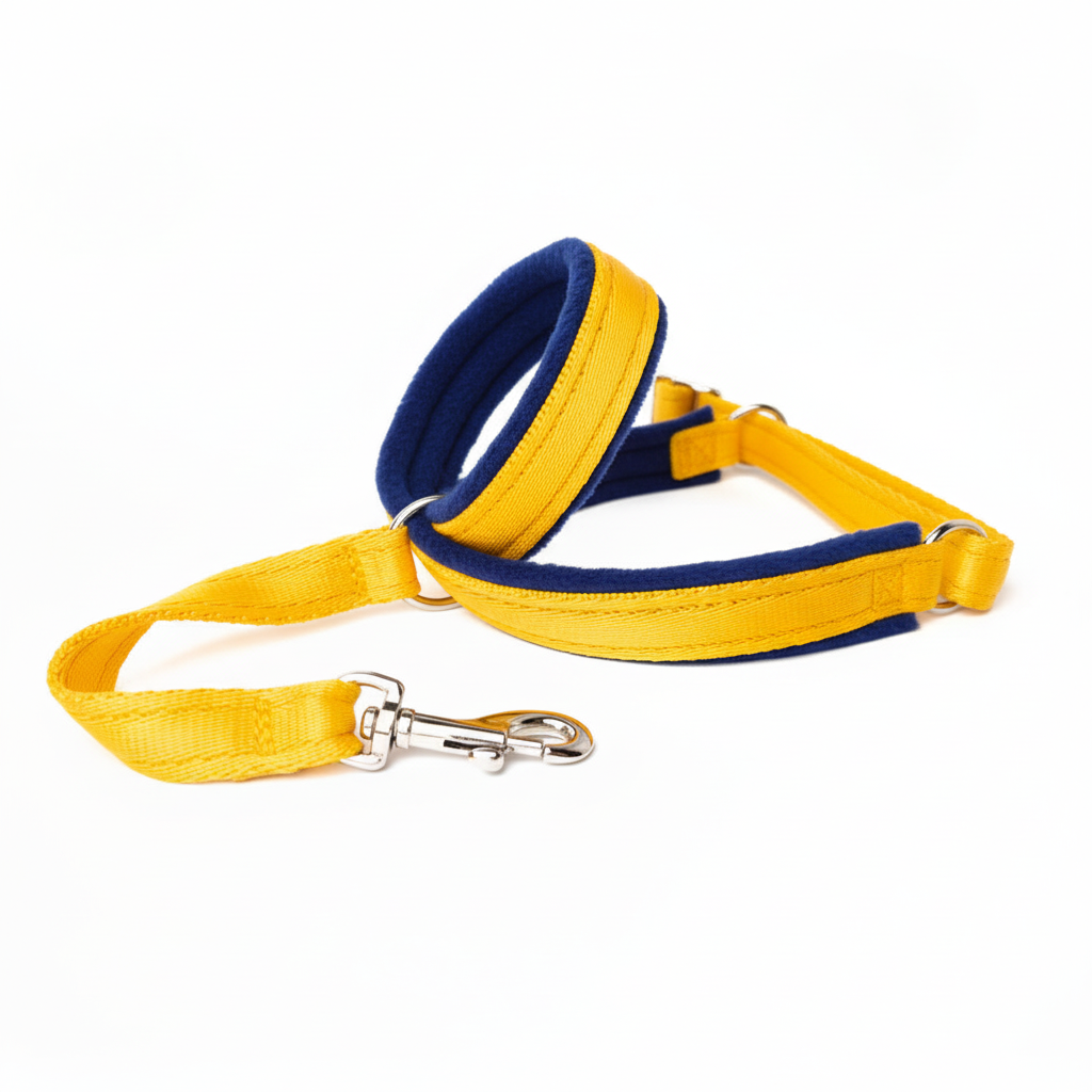 Yellow webbing with navy blue padding